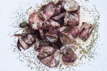 Squid grilled