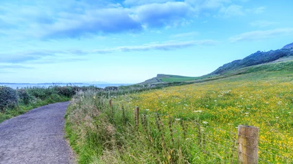 Foto auf Acrylglas Küste Yellow flowers on coast field.  © bnoragitt