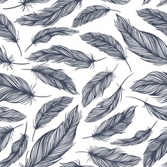 Vector Pattern with Blue Feathers
