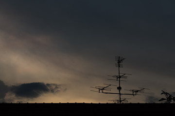 Last light of the day.