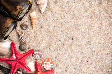 Sea shells with starfish binocular wallpaper