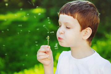 Little boy blowing dandelion.