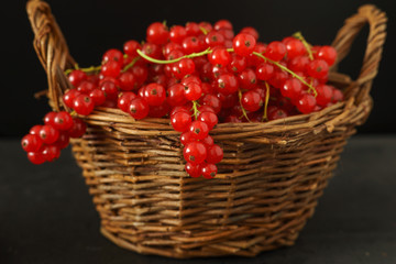 Close up of red currant in basket