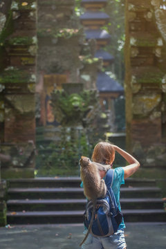 tourist in Indonesian temple do pictures of monkey on camera