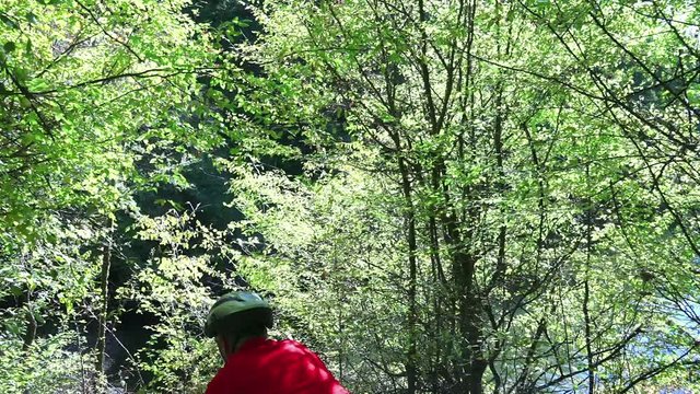Mountain biking on Forest Race Trail single-track