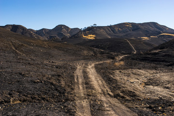 Dirt Road through Burn Zone