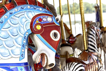 Carousel Horse Head