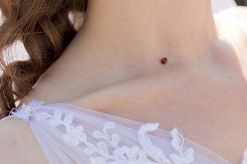 Ladybug girl body