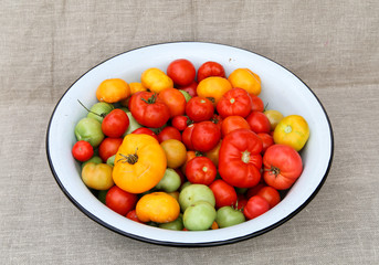 tomato harvesting basin. A tightly woven linen as a background