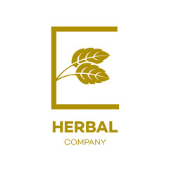 Letter E logo Gold,Green leaf,Herbal,Pharmacy,ecology vector illustration