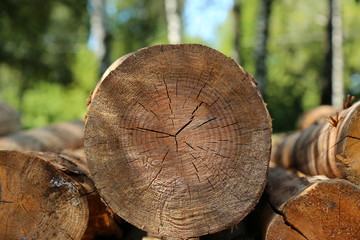 firewood