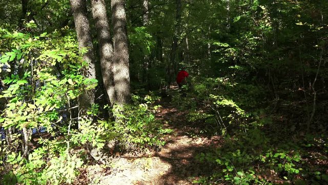 Extreme mountain biker speeds down a bike trail in the 
