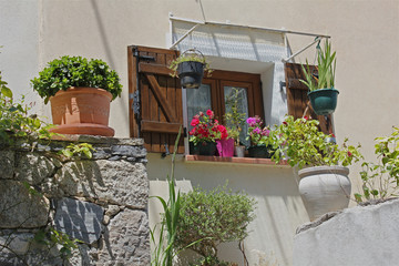 Window with a flower pot in the village, Corsica