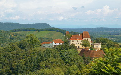 Fototapeta na wymiar Schloss Seggau bei Leibnitz / Steiermark / Österreich