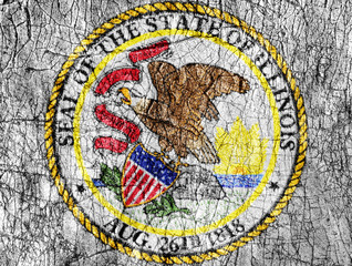 Grudge stone painted US Illinois seal flag