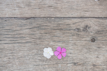 Flowers on wood texture backgrounds