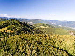 Aerial view of forest, grassland and houses, summer day.
