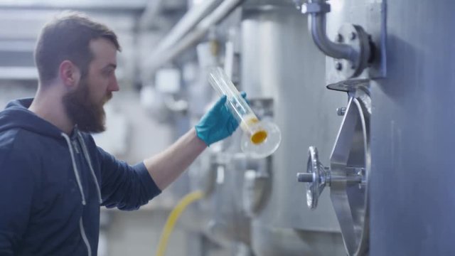  Worker in a brewery tasting beer & checking quality of the product