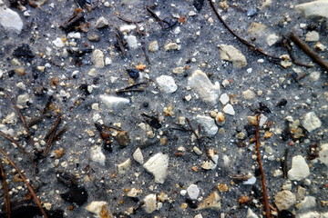 Sandy way surface texture