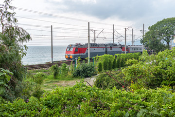 Naklejka premium train rides lengthwise sea coast among the greenery