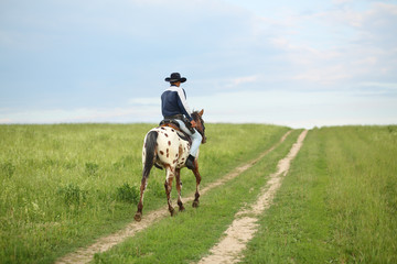 Man in a cowboy hat riding a horse on the meadow road
