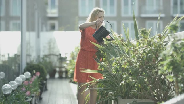  Woman Watering Plants & Looking Out At The View In City Rooftop Garden