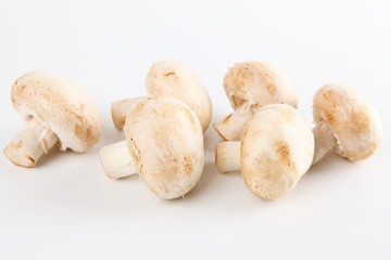 Champignons