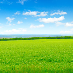 green field and blue sky with light clouds