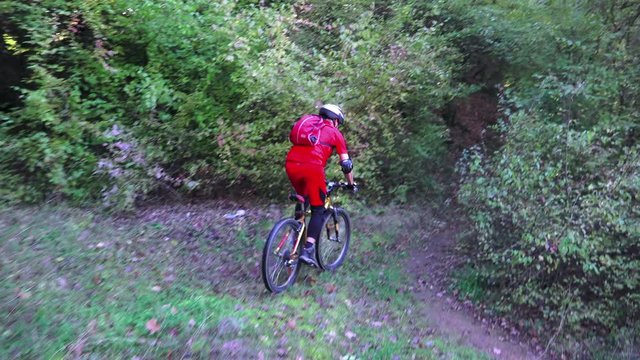 Mountain biker ride fast a downhill course in the forest, 