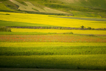 Castelluccio di Norcia