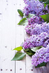 Lilac flowers with green leaves
