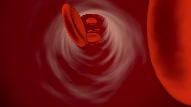 Flowing Erythrocyte Cells in a Vein or Artery.		
