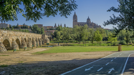 view of Salamanca with Tormes River and Cathedral. Castile and Leon, Spain