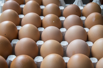 Eggs in cardboard, full frame .