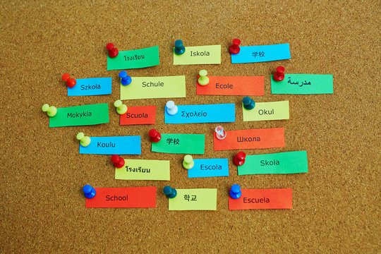 Word School written in different languages