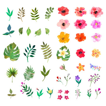 Vector floral set. Colorful collection with leafs and flo