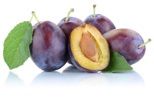 Zwetschgen Pflaumen Zwetschge Pflaume geschnitten frische Fr&uuml;ch