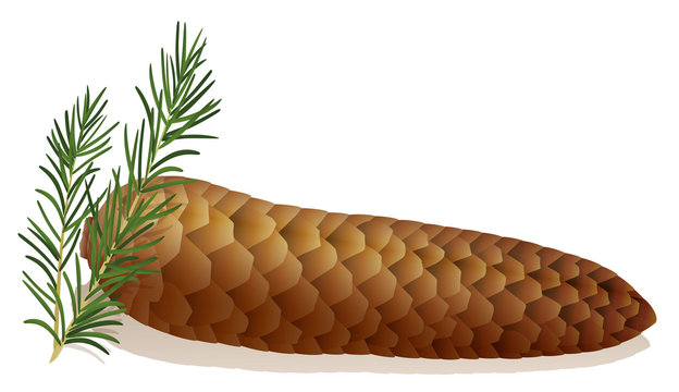 Hard stool - symbolically depicted with an horizontal lying spruce cone.