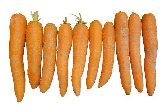 Karotten - freigestellt