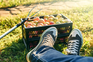 Work done - harvesting apples
