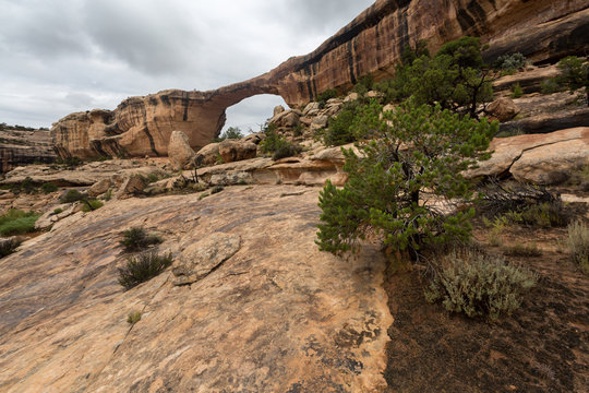 Natural Bridges National Monument in Utah.