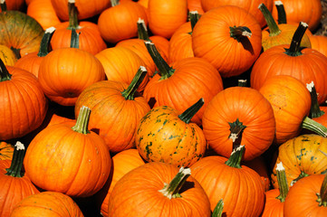 pumpkin background