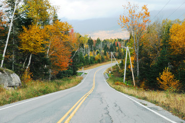 Fototapeta premium winding road in the autumn mountain forest in white mountain