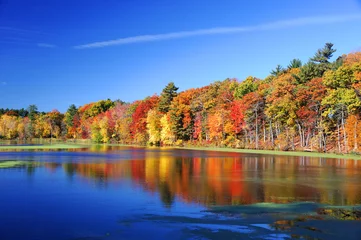 Tuinposter herfst kleurrijke bomen onder ochtendzon weerspiegeld in rustige rivier © nd700