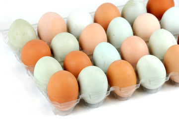 real colorful chicken eggs in the container