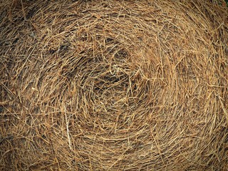 straw roll background texture