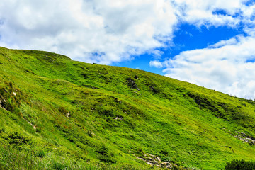 Fototapeta na wymiar Carpathian mountains landscape, green hill under bright sky with clouds, Ukraine.