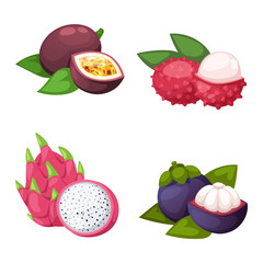 Tropical fruits vector set.