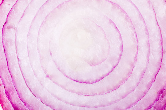 Red onion inside detail