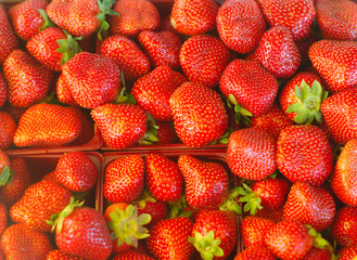 many red strawberries at the market crop view
